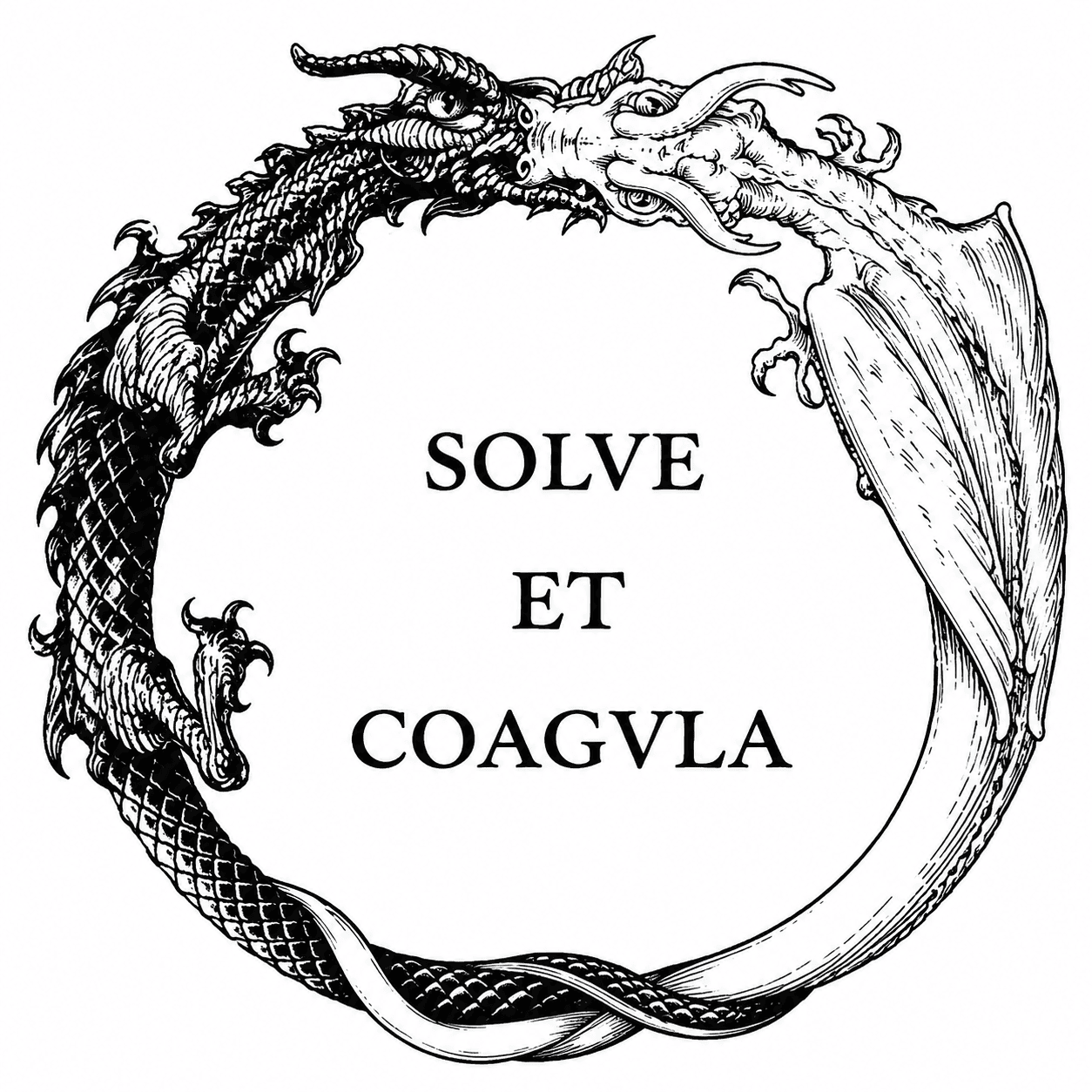 Ilustração em preto e branco do Ouroboros alquímico com dois dragões formando um círculo ao redor da inscrição latina "Solve et Coagula", símbolo da transformação, renovação e unidade dos opostos.